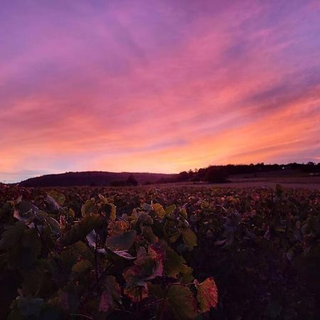 Pouilly-le-Monial Le Clos Du Botaniste מראה חיצוני תמונה