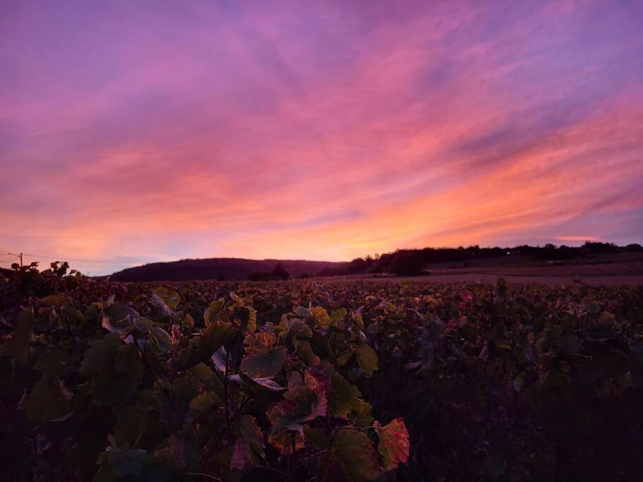 Pouilly-le-Monial Le Clos Du Botaniste מראה חיצוני תמונה